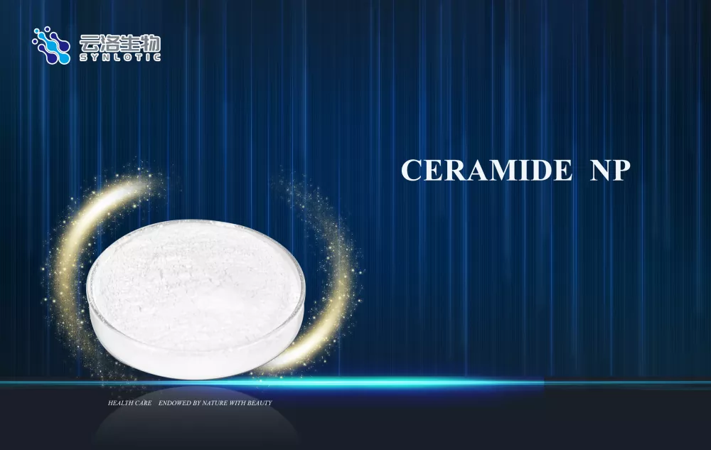Hur stöder Ceramide NP hudbarriärvård i modern kosmetika?