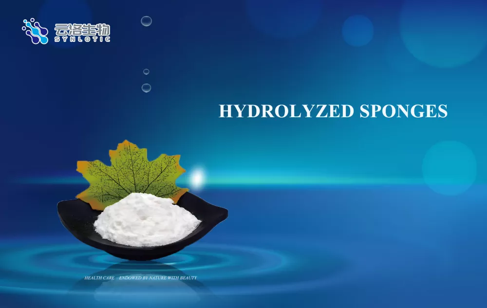 Hydrolyserade svampar