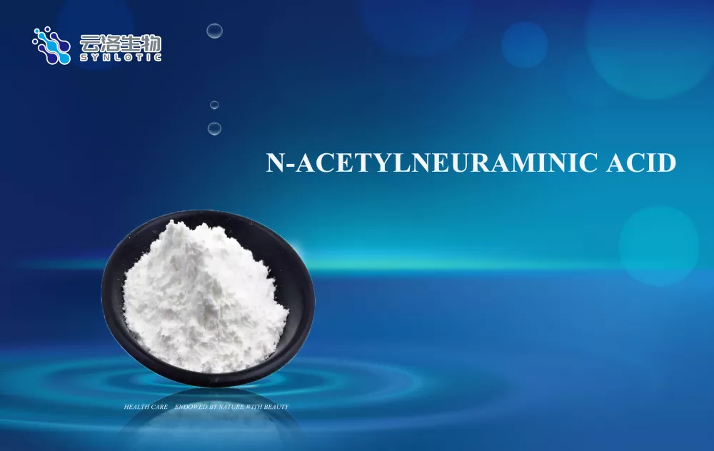N-acetylneuraminsyra