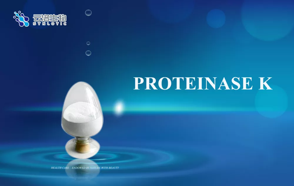 Proteinas k